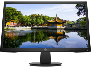 Màn hình máy tính HP V22v 450M4AA - 21.5 inch