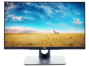 Màn hình máy tính LCD Dell P2418HT - 24 inch