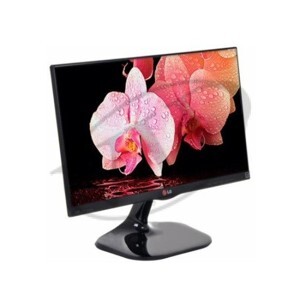 Màn hình máy tính LG 19M45A - LED, 18.5 inch