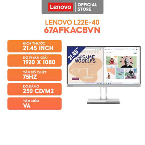 Màn hính máy tính Lenovo L22E-40 67AFKACBVN - 21.5 inch