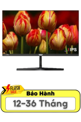 Màn hình máy tính VSP IP2407S - 24 inch