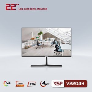 Màn hình máy tính VSP V2204H - 22 inch