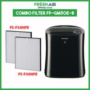 Màng lọc Hepa máy Sharp FP-GM30E-B