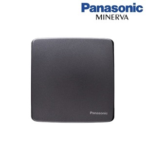 Mặt kín đơn Panasonic WMT6891MYH-VN