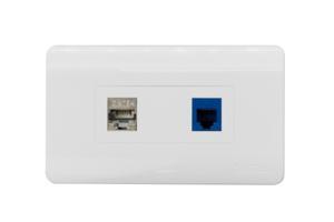 Mặt nạ 2 port Dintek Wallplate (1303-11031)