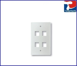 Mặt nạ 4 port Dintek Wallplate 1303-11022