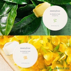 Mặt nạ ngủ môi Innisfree Lip Sleeping Pack With Canola Honey 20g