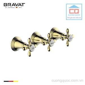 Mặt nạ sen âm tường Bravat P69224BAF-ENG