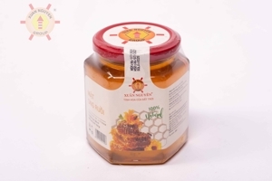 Mật ong ruồi Xuân Nguyên hũ 504g