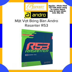 Mặt vợt Andro Rasanter R53