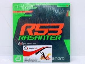 Mặt vợt Andro Rasanter R53