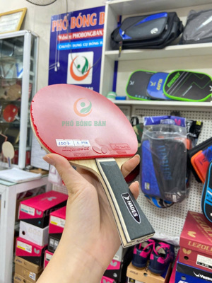 Mặt vợt bóng bàn Butterfly Dignics 05