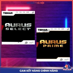 Mặt vợt bóng bàn Tibhar Aurus Prime