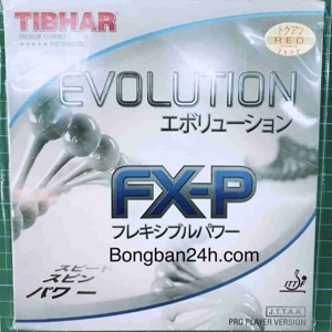 Mặt vợt bóng bàn Tibhar Evolution FX-P