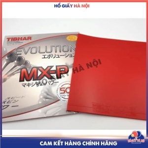 Mặt vợt bóng bàn Tibhar Evolution MX-P