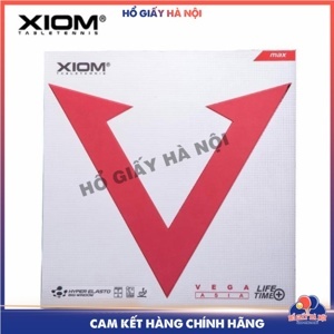 Mặt vợt bóng bàn Xiom Vega Asia