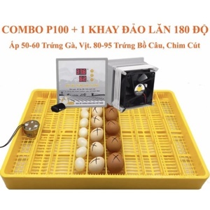 Máy ấp trứng mini - 50 trứng