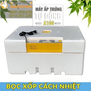 Máy ấp trứng mini - 50 trứng