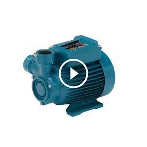 Máy bơm bánh răng Calpeda CTM 61