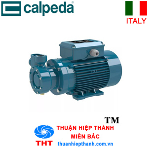 Máy bơm bánh răng Calpeda T 65E