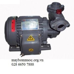 Máy bơm bánh răng vỏ gang đầu gang NTP HCP225-1.75 265 1HP