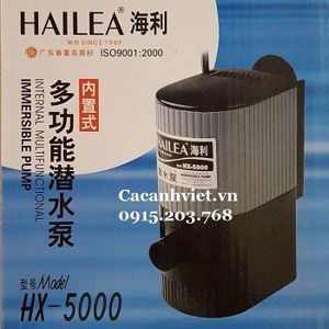 Máy bơm bể cá Hailea HX-5000