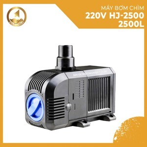 Máy bơm chìm HJ-2500 220V 2500 lít