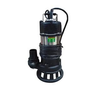 Máy bơm chìm hút bùn thân inox NTP HSF250-1.75 205 1HP