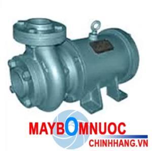 Máy bơm chìm hút nước thải Lubi LHL-8 7.5 HP