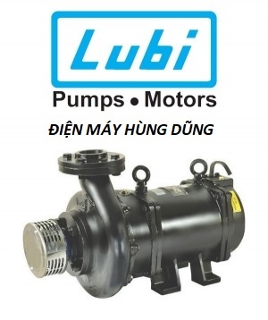 Máy bơm chìm trục ngang Lubi LHL-3 3 HP