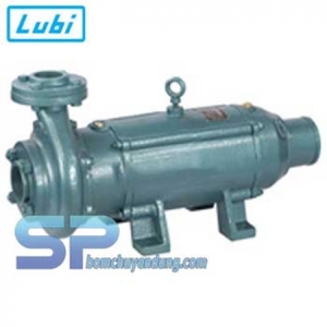 Máy bơm chìm trục ngang Lubi LHS-24 12.5HP