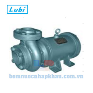 Máy bơm chìm trục ngang Lubi LHL- 6 - 3.7kw