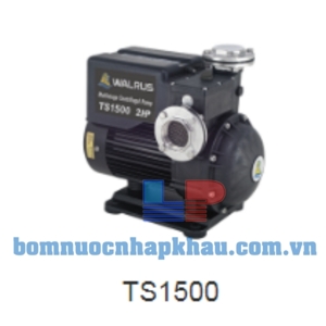 Máy bơm dân dụng đẩy cao đầu nhựa WALRUS TS-1500 2HP