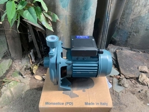 Máy bơm dân dụng Elanta STM 3