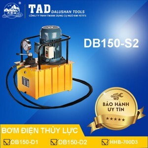 Máy bơm điện thủy lực DB150D1