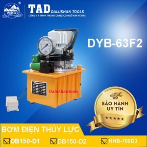 Máy bơm điện thủy lực DYB63F2