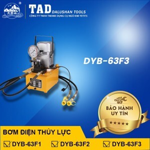 Máy bơm điện thủy lực DYB63F3