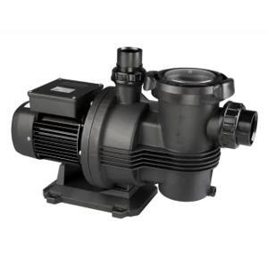 Máy bơm hồ bơi Davey C100M - 750W