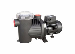 Máy bơm hồ bơi Ebara SWT 200 M 2HP