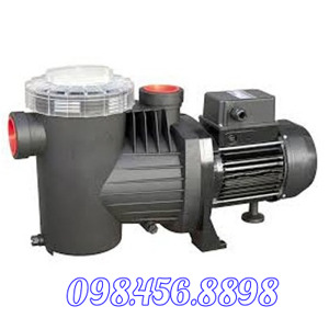 Máy bơm hồ bơi Ebara SWT 300 - 2.2kW