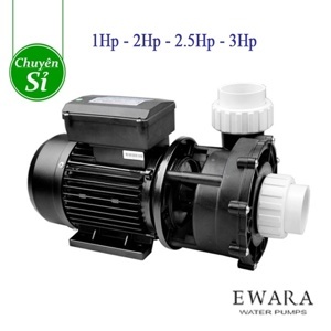 Máy bơm hồ bơi Ewara WP 200I - 2 HP