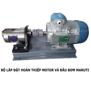 Máy bơm hút hóa chất Maruti MESX-150 3 HP