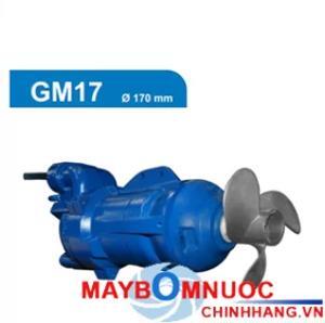 Máy bơm khuấy chìm Faggiolati GM17A1T