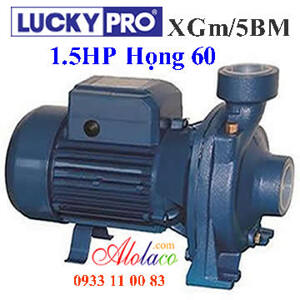 Máy bơm lưu lượng lớn Lucky Pro XGM/5BM - 1.5HP