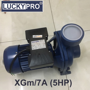 Máy bơm lưu lượng Lucky pro XGM/7A 5.5HP