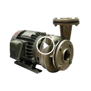 Máy bơm ly tâm dạng xoáy đầu inox NTP HVS3100-122 205 - 30HP