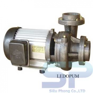 Máy bơm ly tâm đầu gang Tân Hoàn Cầu Leedo LD-370 0.5HP