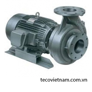 Máy bơm ly tâm đầu gang TECO 2 pole G310-65-2P-10HP 10HP