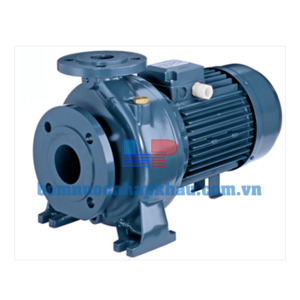 Máy bơm ly tâm Ebara MD 40-250/11 - trục ngang, 15HP