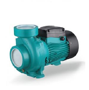 Máy bơm ly tâm lưu lượng Lepono ACm 110B2 - 1.1kW